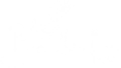 Bombinhas Web